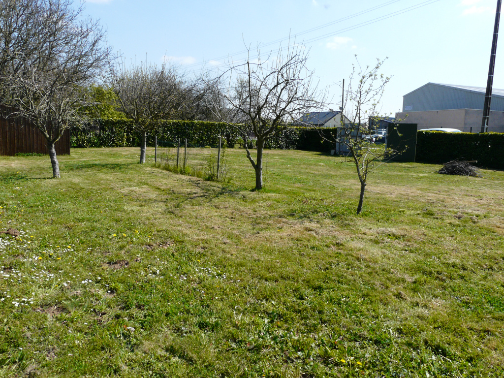 Photo 4