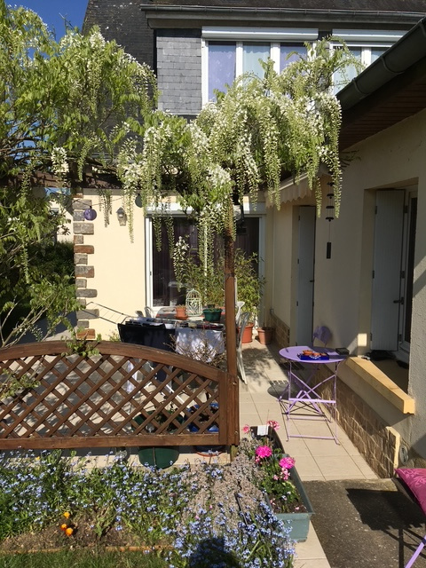 Photo 3